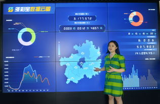 數(shù)博會擦亮貴陽大數(shù)據(jù)名片——專訪貴州多彩寶互聯(lián)網(wǎng)服務(wù)副總經(jīng)理夏杰